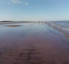 A Daytrip to Mablethorpe Beach
